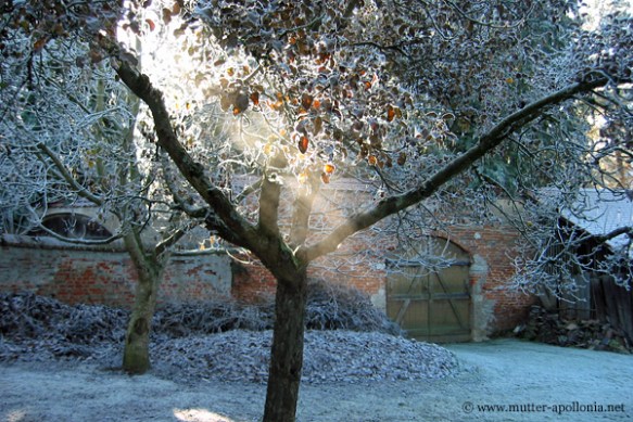 Der Winter hält Einzug 02