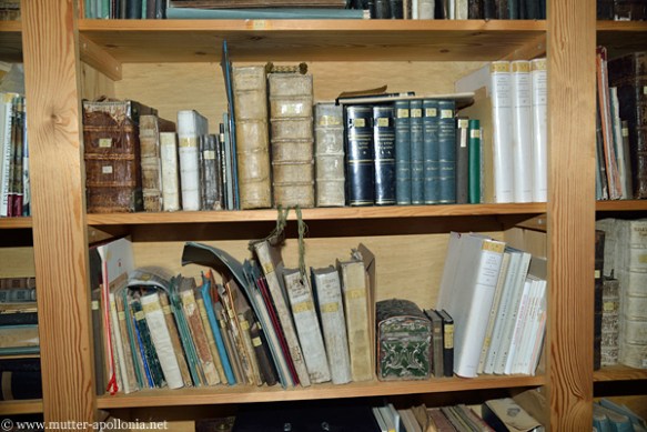 Diese Aufnahme entstand im Februar 2013.